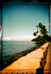 Beaching-It051