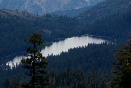 Kings Canyon National Park California