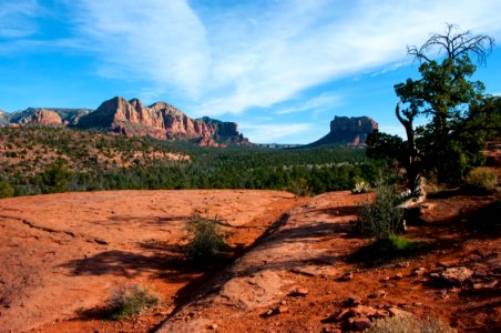 Cathedral Rock Trail No 170