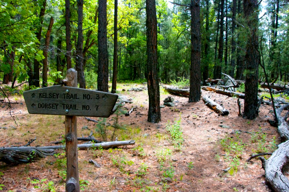Kelsey Trail No 3
