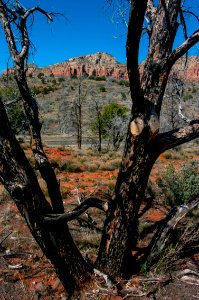 Jacks Canyon Trail No 55