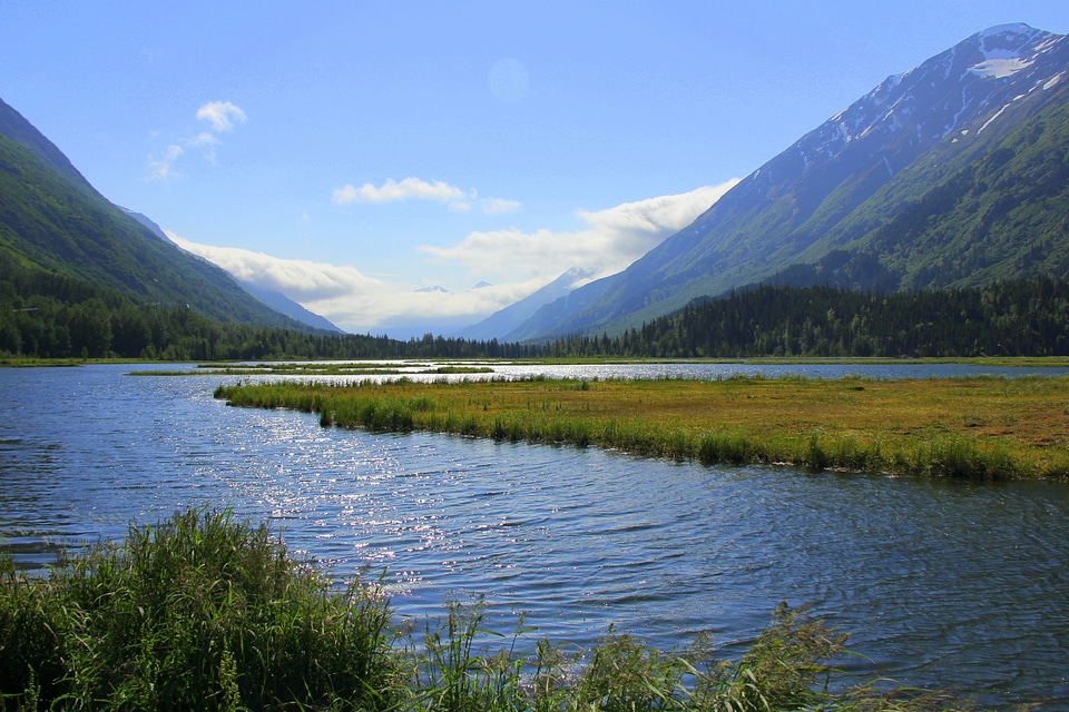 Wilderness nature scenery