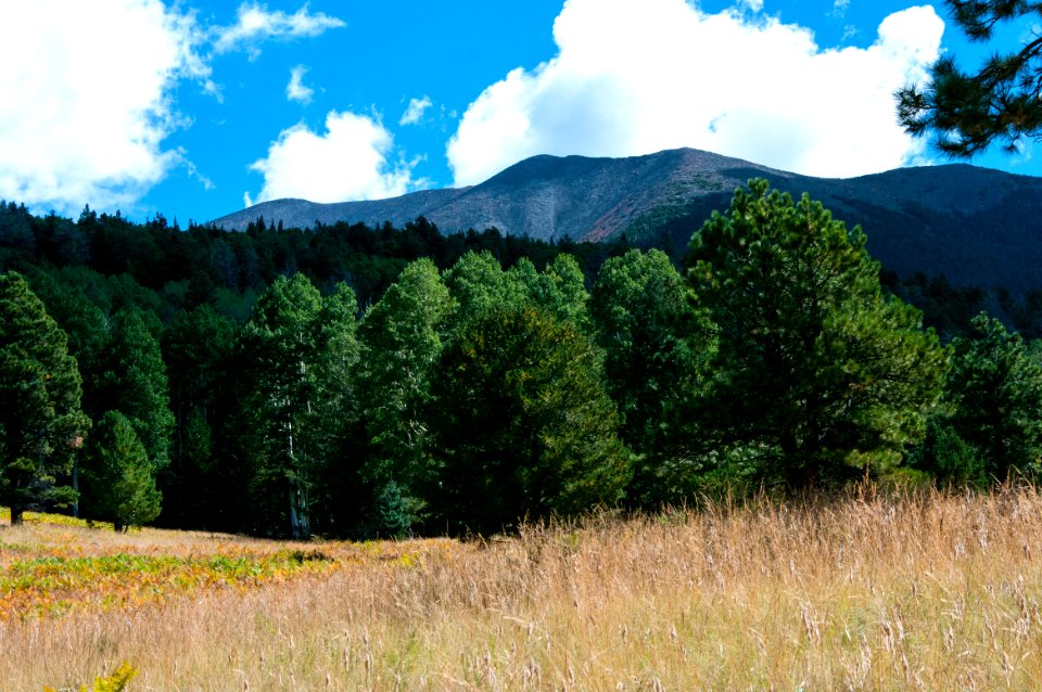 Arizona Trail Passage 34