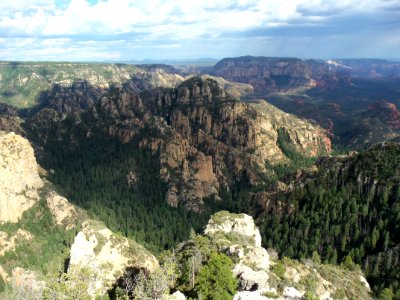 Mogollon Rim