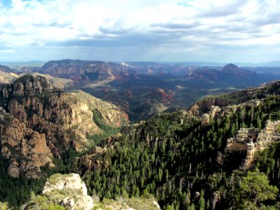 Mogollon Rim