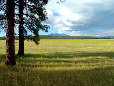 Rogers Lake