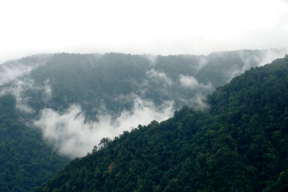 The Nature