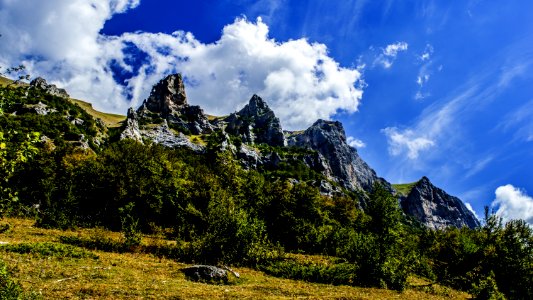 Mountains And Forest