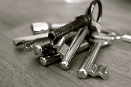 Stainless Steel Skeleton Key photo