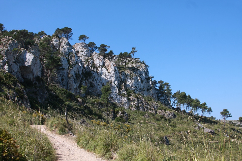 Mallorca rock nature