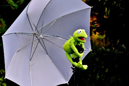 Frog Holding An Umbrella