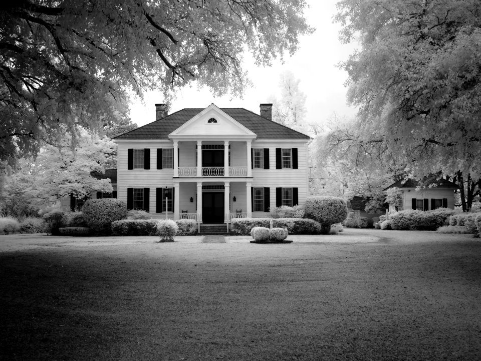 Stylish House With Lawn