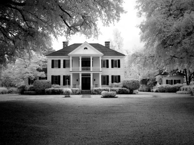 Stylish House With Lawn