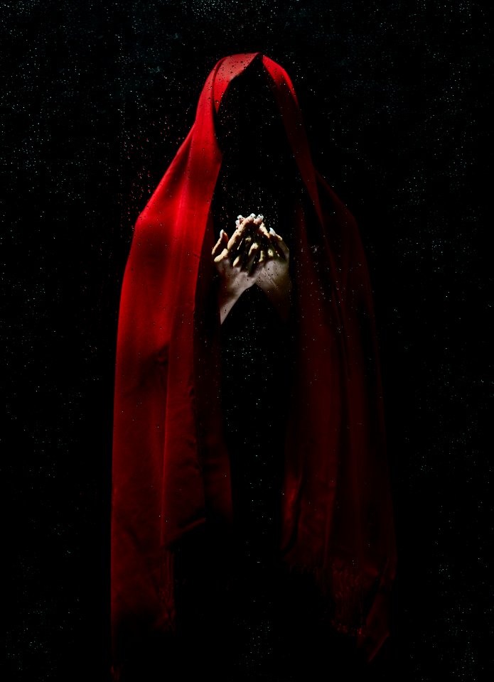 Close Up Of Red Rose On Black Background