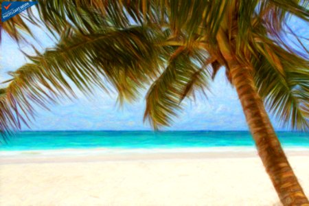 Beach - ID 16235-220447-5816