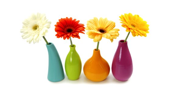 Flowers In Colorful Vases