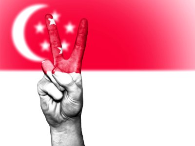 Singapore Flag With Peace Sign photo