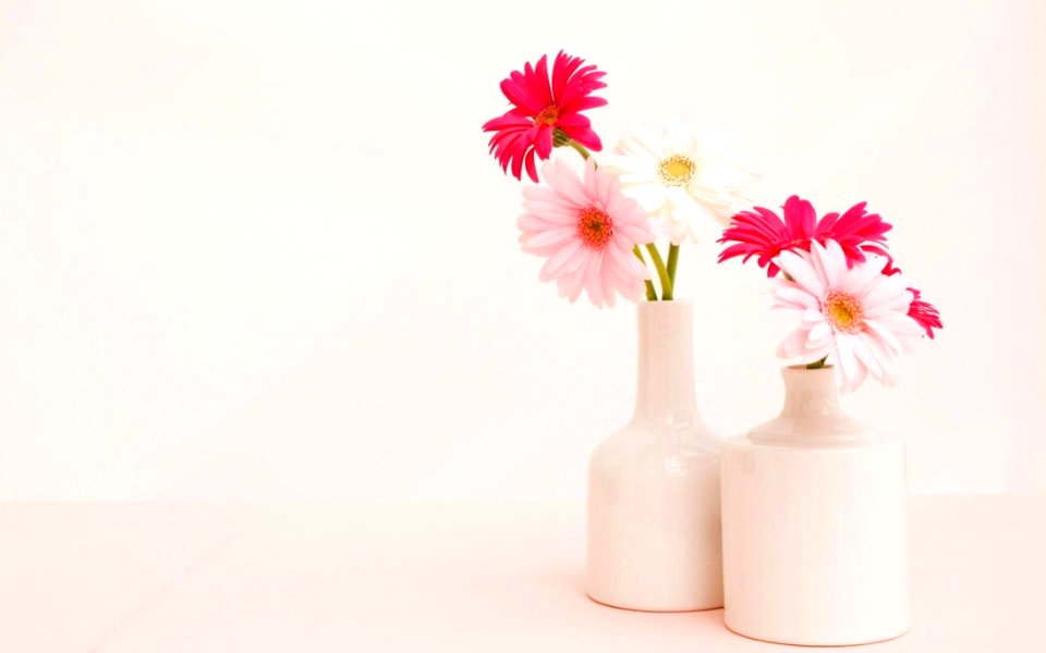 Flowers In White Vases