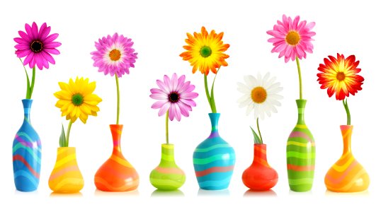 Colorful Flowers In Vases