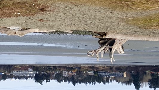 Parksville Beach