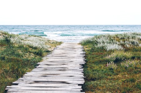 Wood Planks On Path To Ocean