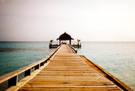 Wooden Pier In Maldives