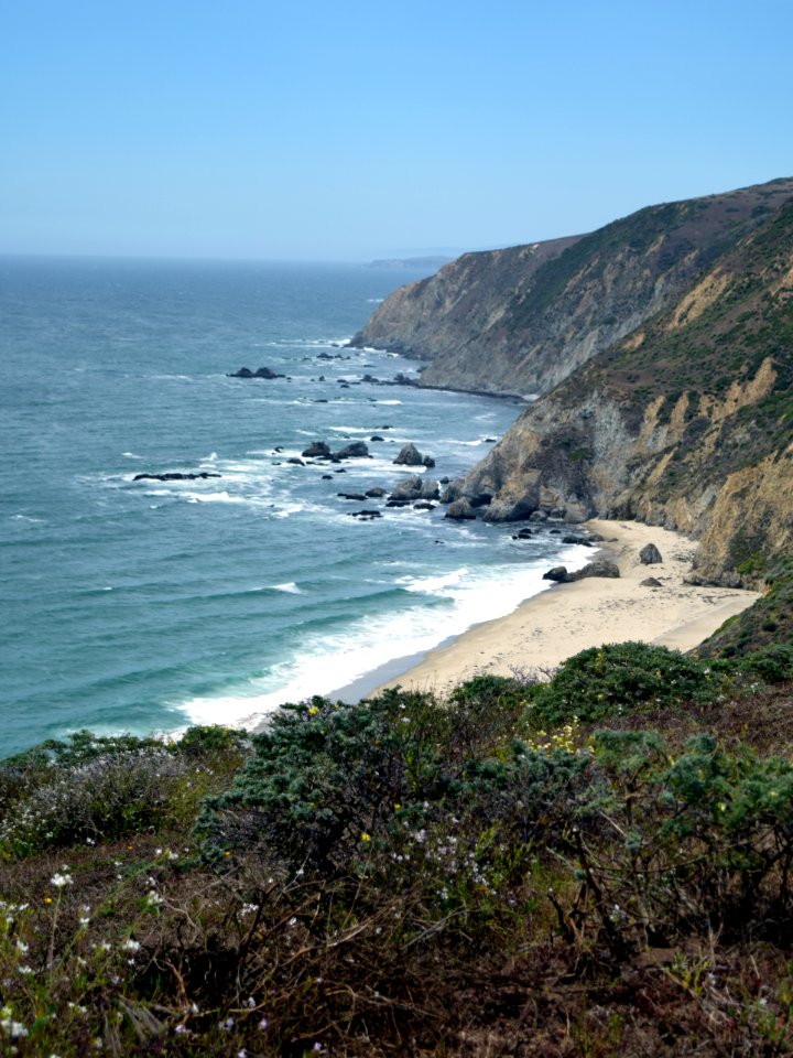 Shoreline South Of Tomales Point