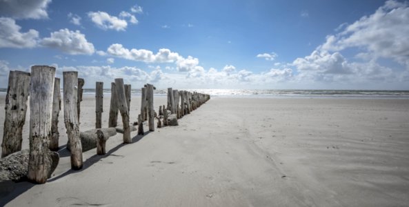 Driftwood And Stones Dividing An Ocean Beach