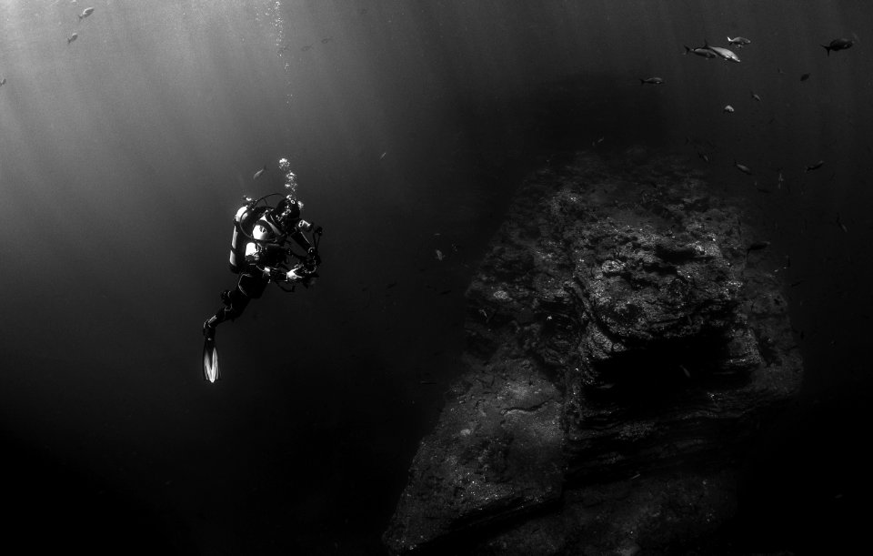 Diver Underwater By Fish And Rock Formation