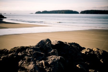 Rocks On A Beach Shoreline
