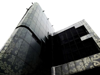 Modern Building With Plant Pattern