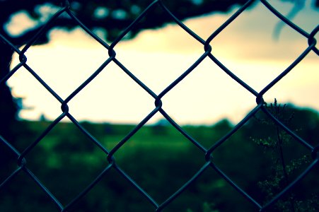 Wire Mesh Fence photo