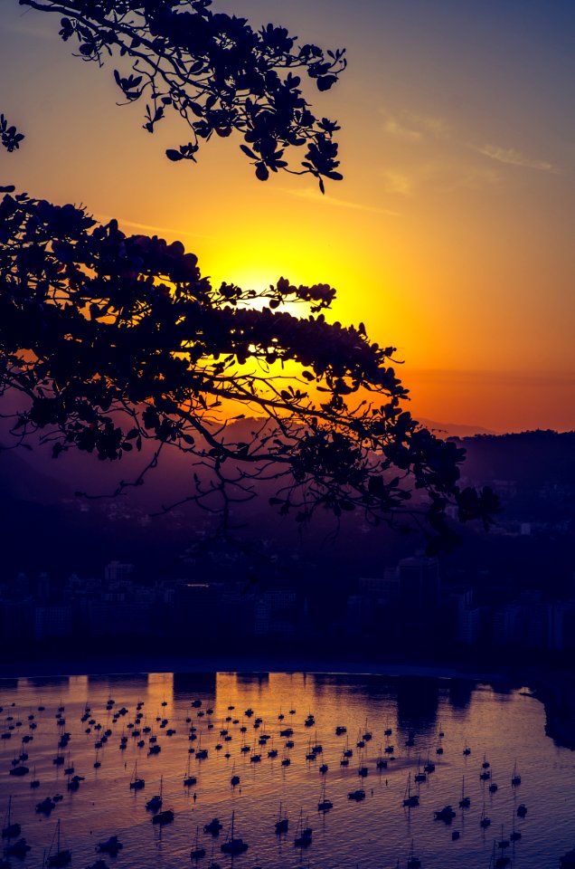 Bay At Sunset