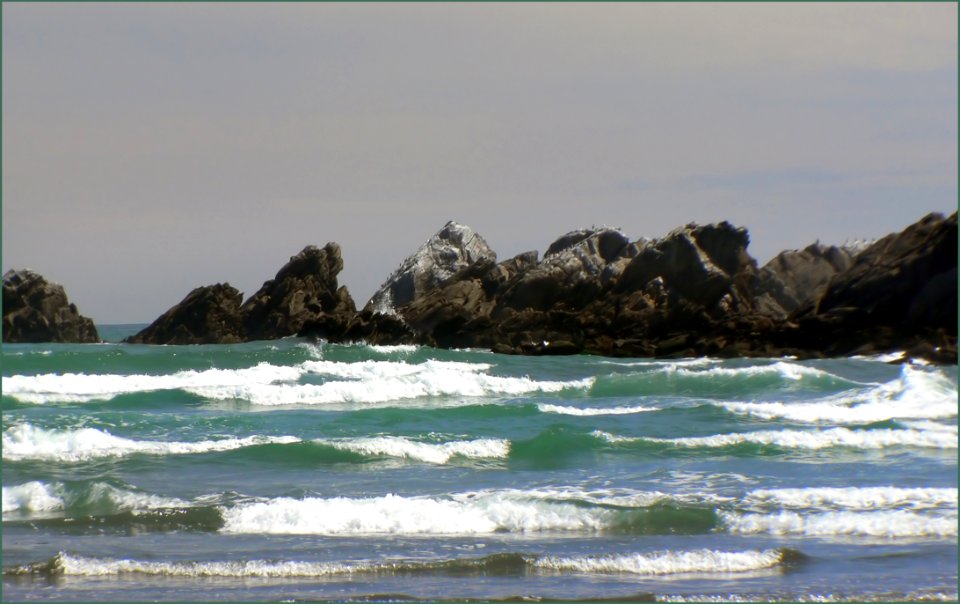 West Coast Beaches Of New Zealand (19)