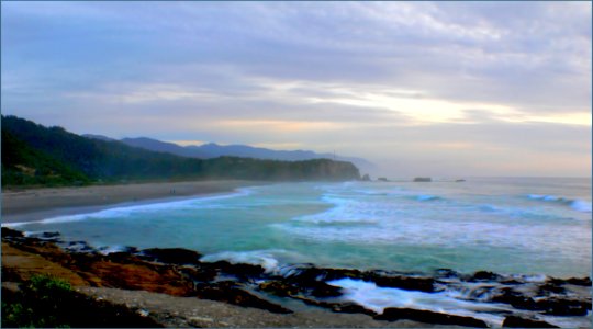 West Coast Beaches Of New Zealand (8) photo