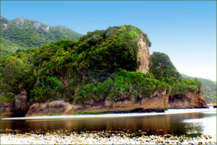 West Coast Beaches Of New Zealand (3)