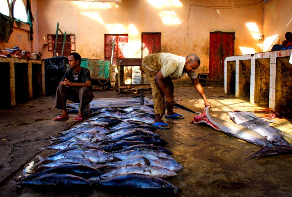 20130316SomaliaFishing K