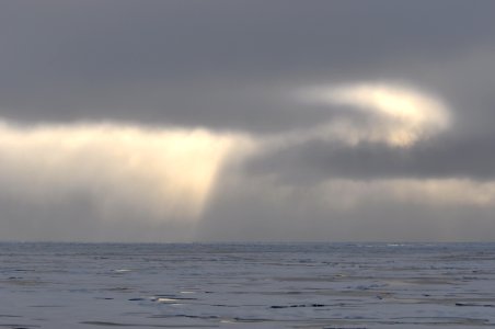 Swirling Sky