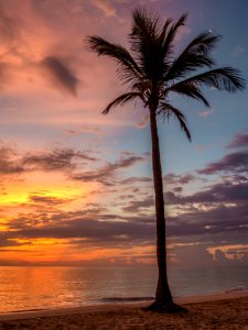 Sunrise Punta Cana Dominican Republic photo