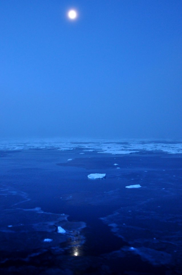 Arctic Moon
