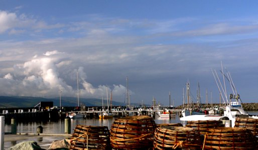 Apollo Bay Fishing Fleet
