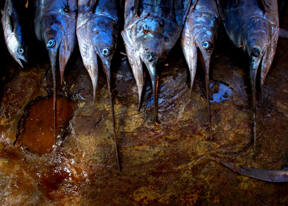 20130316SomaliaFishing J