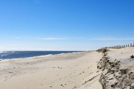 The Beach At Assateague photo