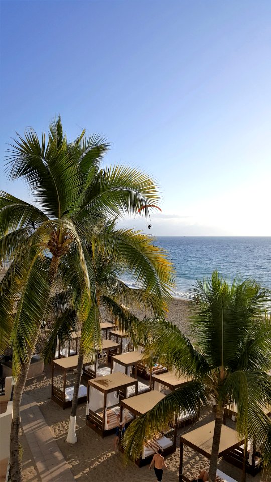 Beach Beds