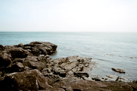 Rocky Ocean Shore photo