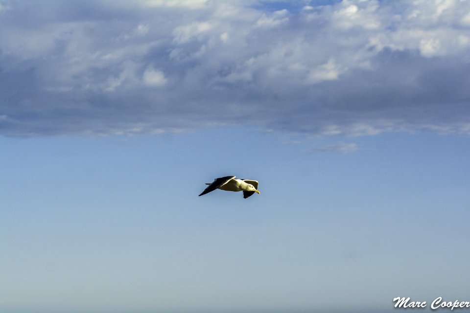 Air Recon Over Matador State Beach