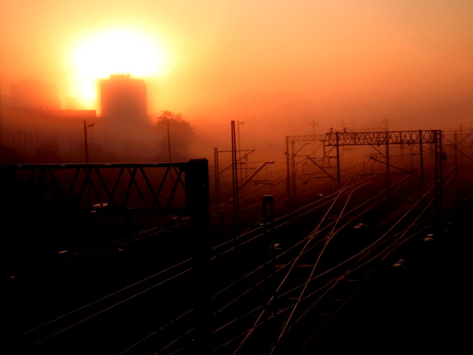 Cars Traveling On Gray Asphalt Road During Sunset