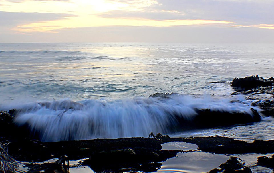 West Coast Beaches Of New Zealand (6)