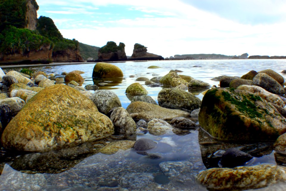 West Coast Beaches Of New Zealand (1)
