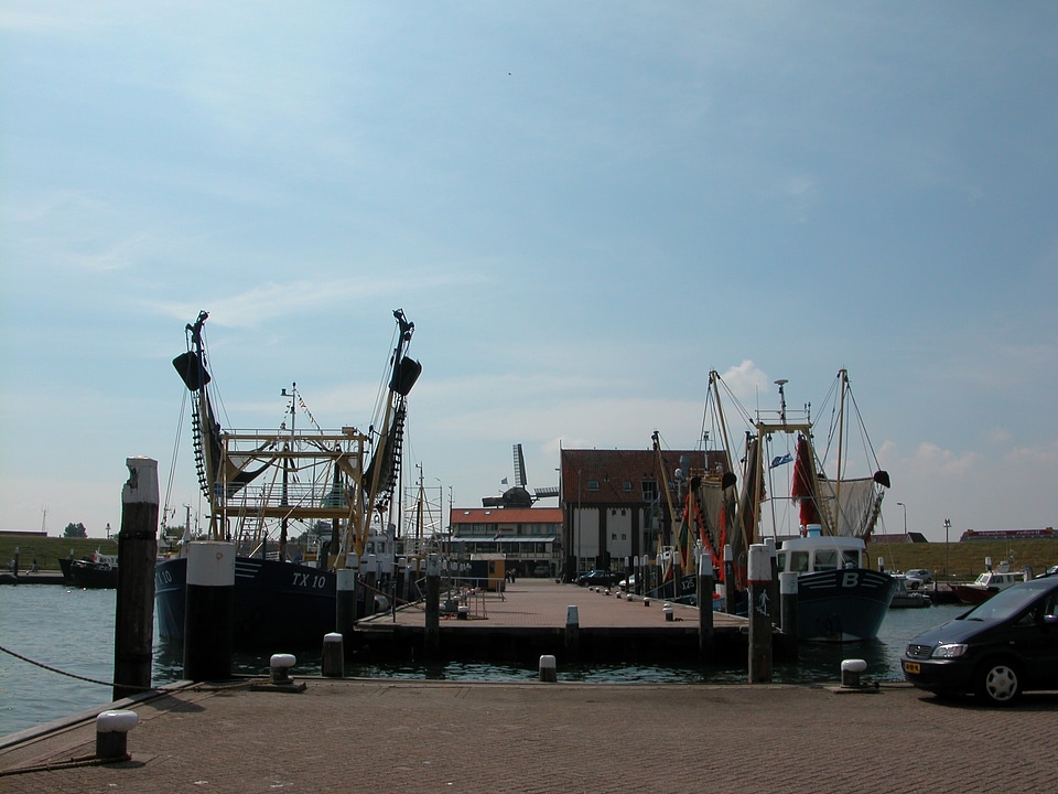 Sea cutter texel photo